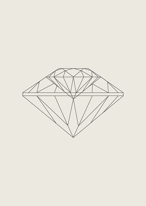 1_4_RADIOSA_SITO_HOME8-465 1_4_RADIOSA_SITO_HOME8-465